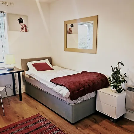 Single Room In Charming Apartment With The Terrace And The Cat In Sandymount Dublin Exterior foto